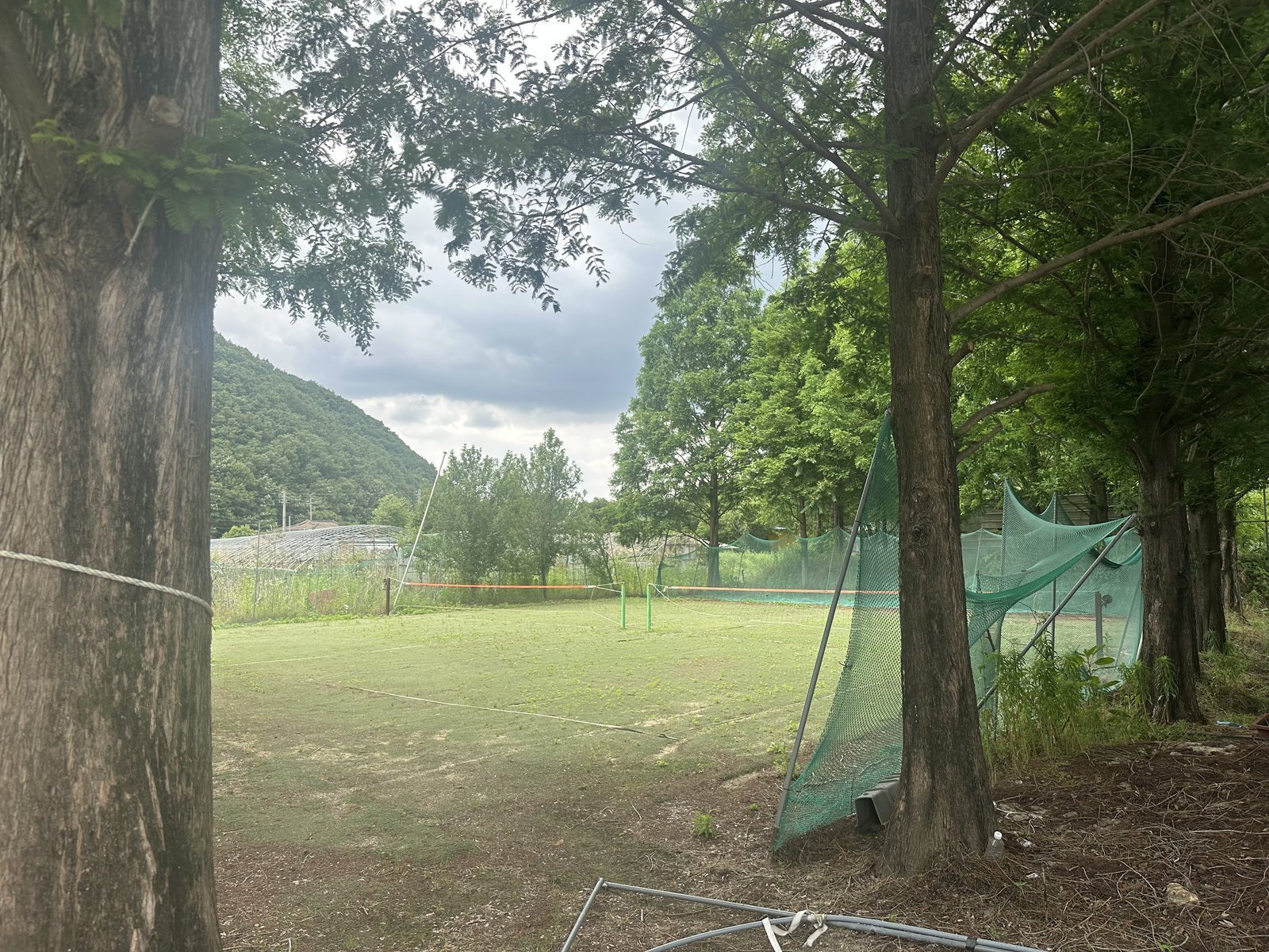 잔디밭
